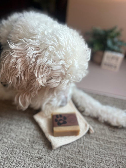 Bowie's Good Dog bath bar